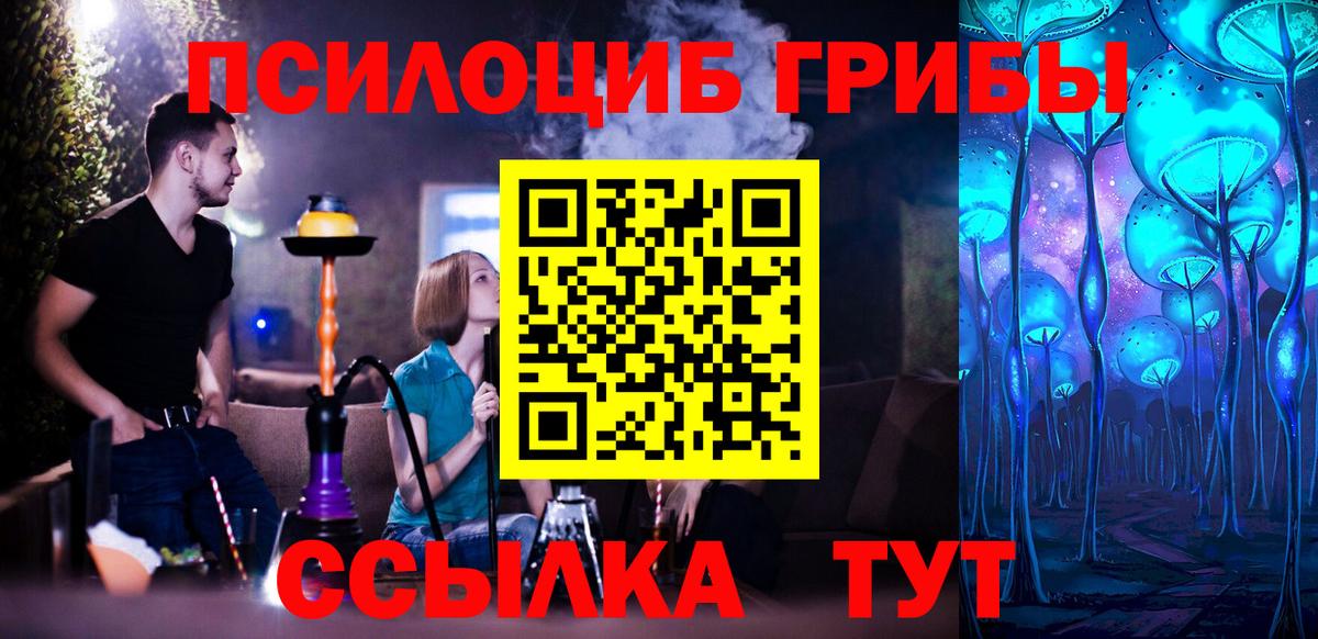 Галлюциногенные грибы прущие грибы  Вход с VPN  Новозыбков  наркота  Псилоцибиновые грибы Cubensis 